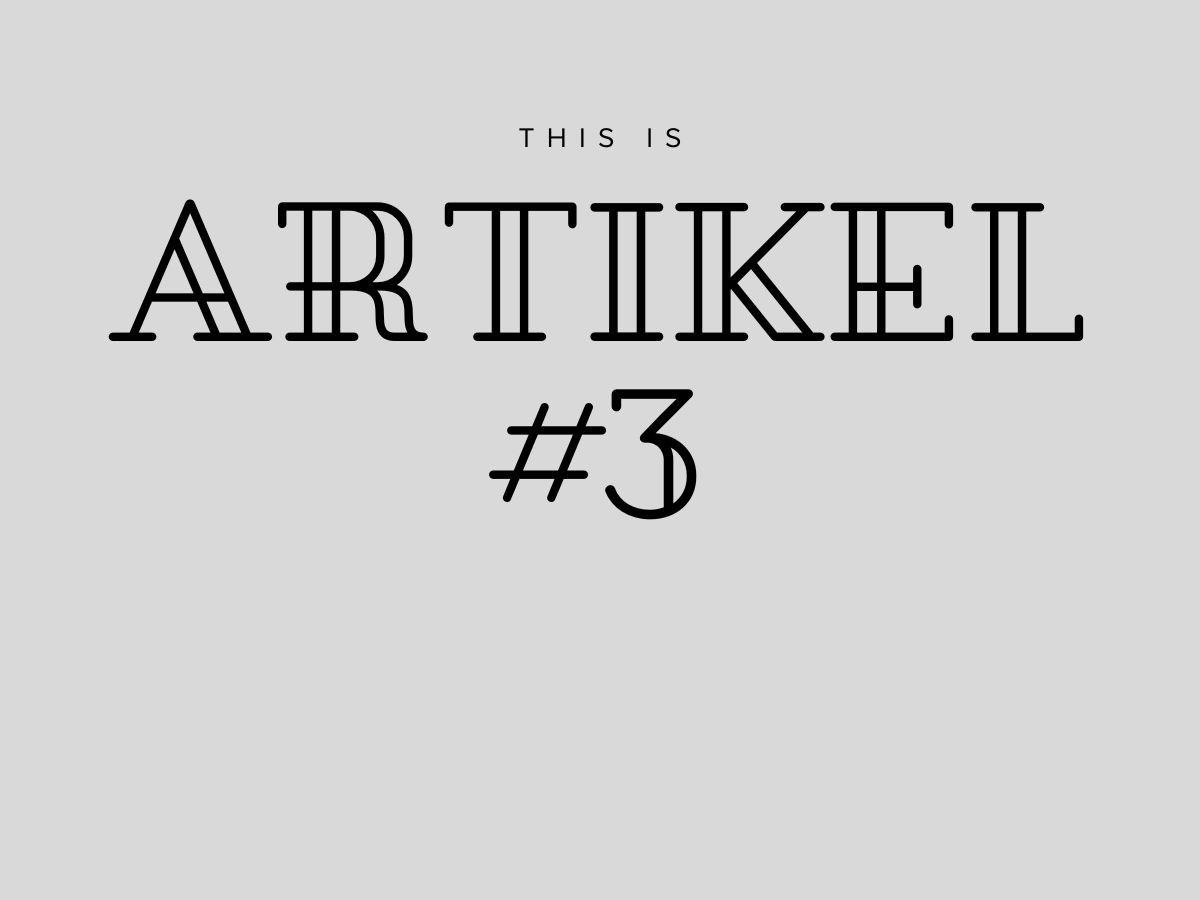 Artikel #3